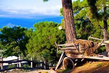 Prima Donna - Adults Only 3* Patara