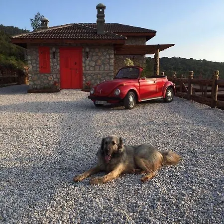 Prima Donna - Adults Only Hotel Patara
